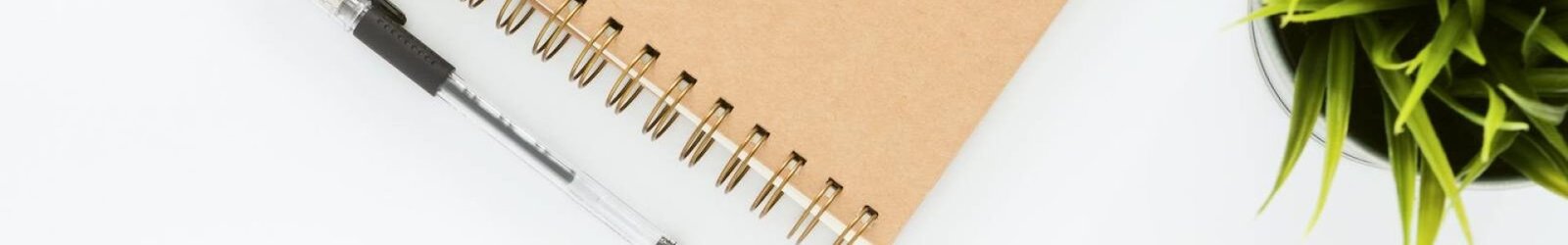 cursos SEF en Moratalla